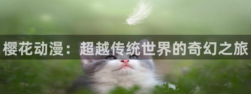 韩漫漫画人气排行榜