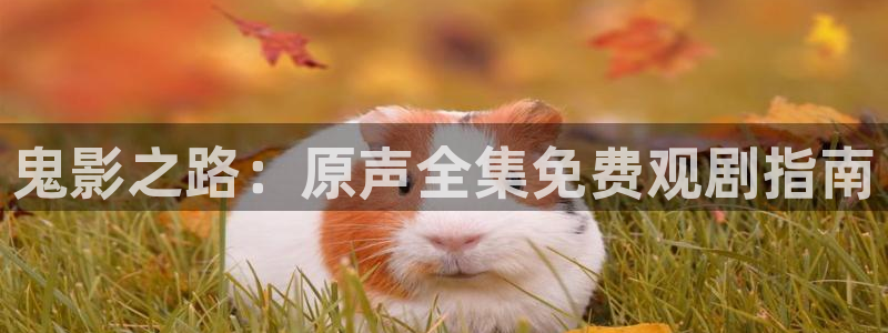 韩漫漫画全彩在线