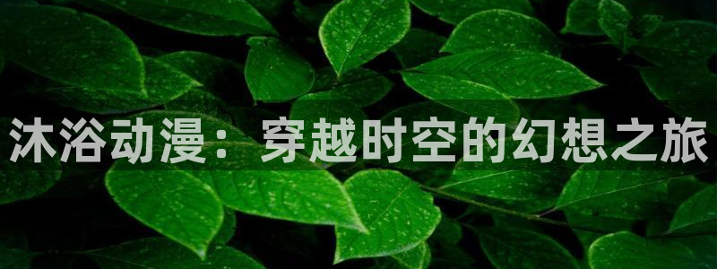 韩漫漫画免费在线看：沐浴动漫：穿越时空的幻想之旅