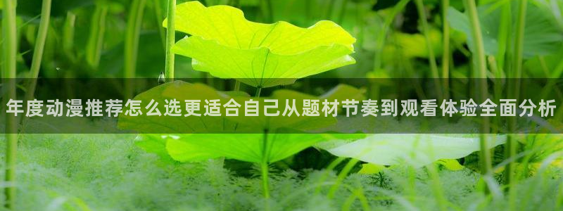 韩国漫画排行榜：年度动漫推荐怎么选更适合自己从题材节奏到观看体验全面分析