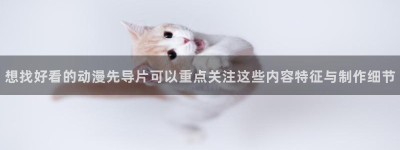 韩国漫画推荐：想找好看的动漫先导片可以重点关注这些内容特征与制作细节