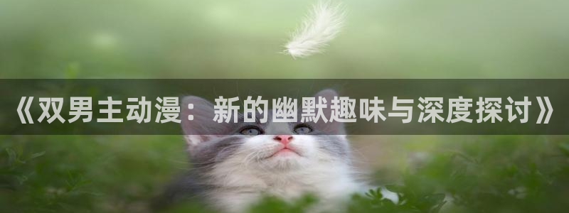 韩漫免费漫画：《双男主动漫：新的幽默趣味与深度探讨》