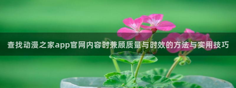 韩漫免费观看：查找动漫之家app官网内容时兼顾质量与时效的方法与实用技巧